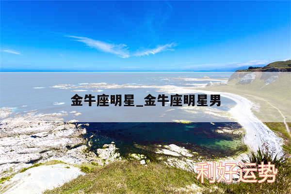金牛座明星_金牛座明星男