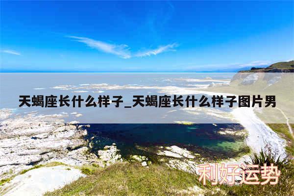 天蝎座长什么样子_天蝎座长什么样子图片男