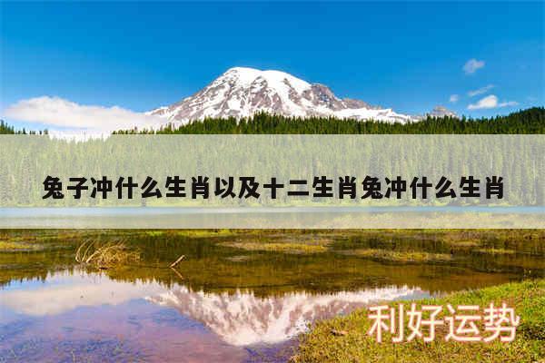 兔子冲什么生肖以及十二生肖兔冲什么生肖