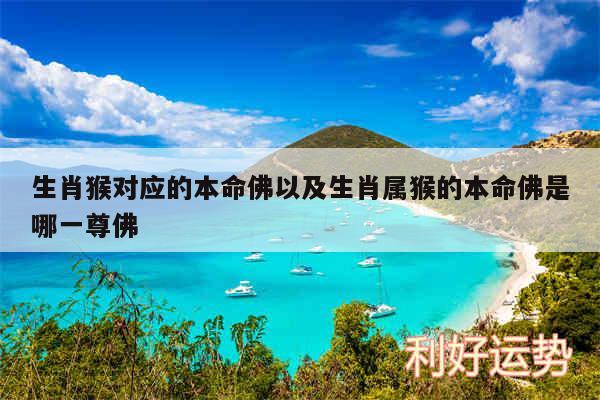 生肖猴对应的本命佛以及生肖属猴的本命佛是哪一尊佛