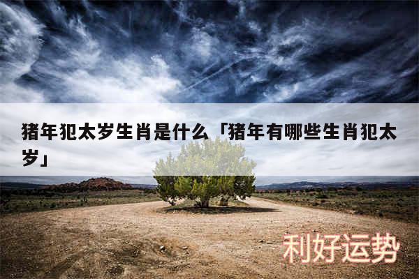 猪年犯太岁生肖是什么及猪年有哪些生肖犯太岁