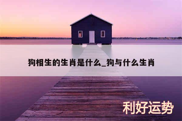 狗相生的生肖是什么_狗与什么生肖