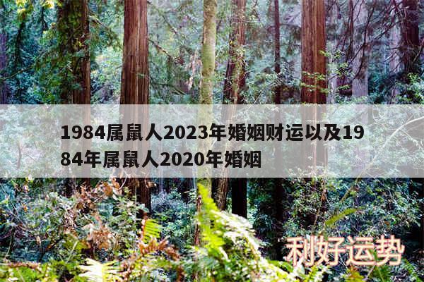 1984属鼠人2024年婚姻财运以及1984年属鼠人2020年婚姻