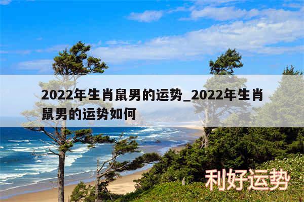 2024年生肖鼠男的运势_2024年生肖鼠男的运势如何