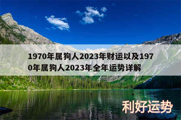 1970年属狗人2024年财运以及1970年属狗人2024年全年运势详解