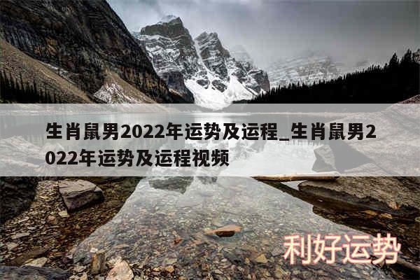 生肖鼠男2024年运势及运程_生肖鼠男2024年运势及运程视频