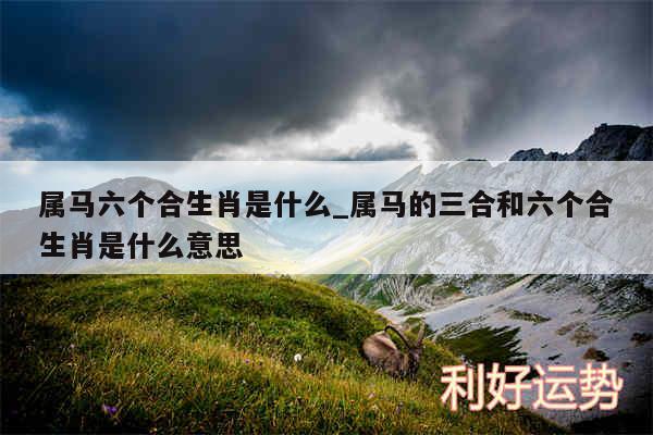 属马六个合生肖是什么_属马的三合和六个合生肖是什么意思