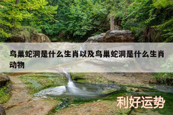 鸟巢蛇洞是什么生肖以及鸟巢蛇洞是什么生肖动物