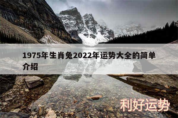 1975年生肖兔2024年运势大全的简单介绍