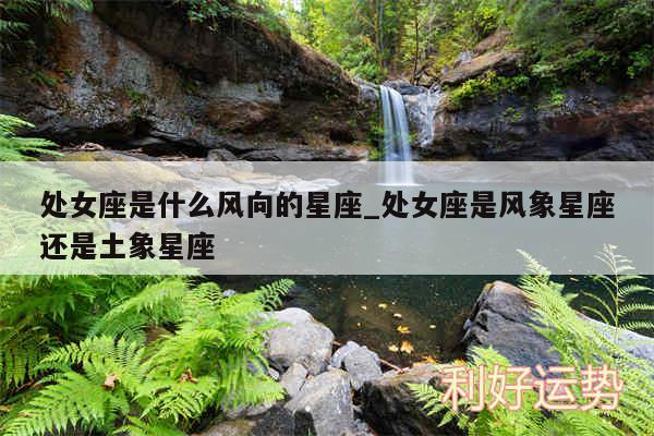 处女座是什么风向的星座_处女座是风象星座还是土象星座