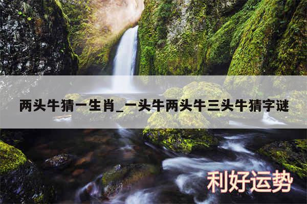 两头牛猜一生肖_一头牛两头牛三头牛猜字谜