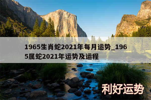 1965生肖蛇2024年每月运势_1965属蛇2024年运势及运程