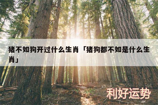 猪不如狗开过什么生肖及猪狗都不如是什么生肖