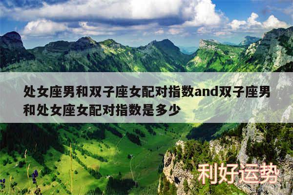 处女座男和双子座女配对指数and双子座男和处女座女配对指数是多少