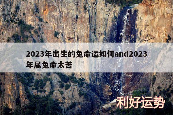 2024年出生的兔命运如何and2024年属兔命太苦