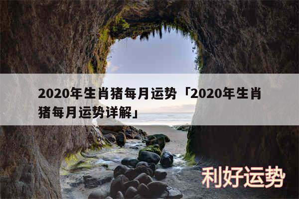 2020年生肖猪每月运势及2020年生肖猪每月运势详解