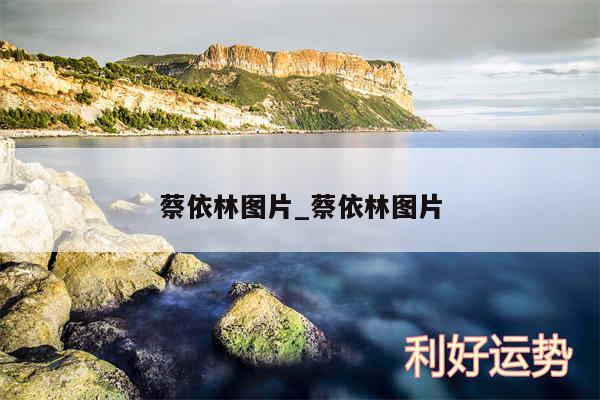蔡依林图片_蔡依林图片