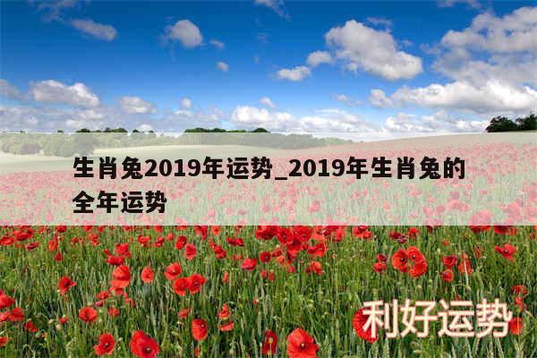 生肖兔2019年运势_2019年生肖兔的全年运势