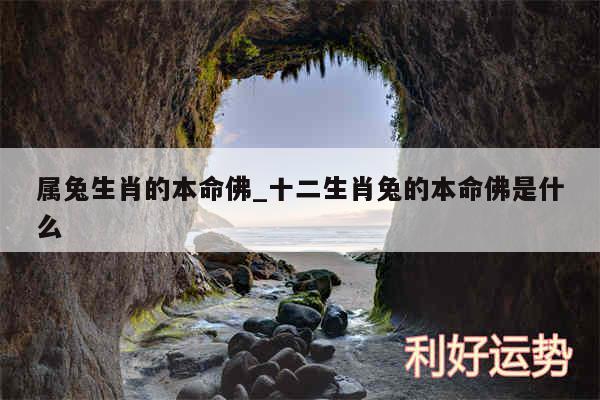 属兔生肖的本命佛_十二生肖兔的本命佛是什么