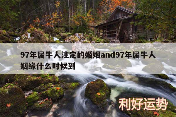 97年属牛人注定的婚姻and97年属牛人姻缘什么时候到