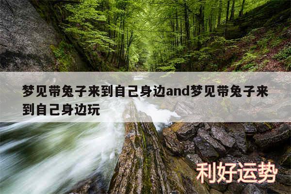 梦见带兔子来到自己身边and梦见带兔子来到自己身边玩