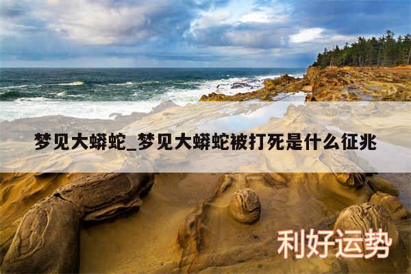 梦见大蟒蛇_梦见大蟒蛇被打死是什么征兆