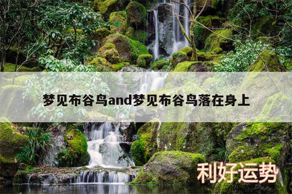 梦见布谷鸟and梦见布谷鸟落在身上