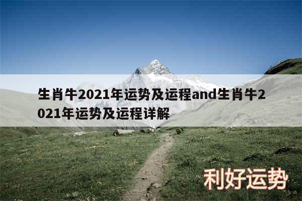 生肖牛2024年运势及运程and生肖牛2024年运势及运程详解
