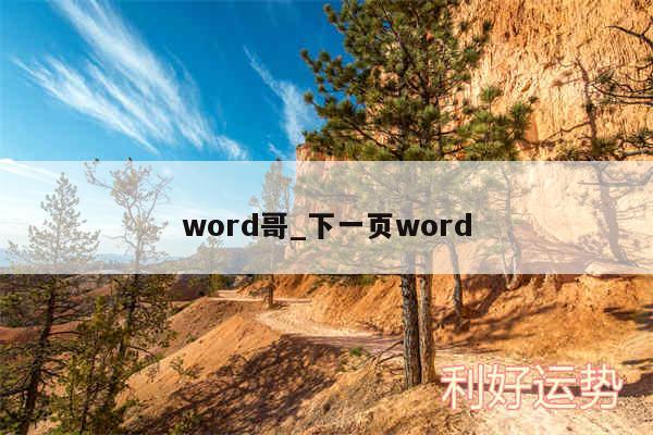 word哥_下一页word