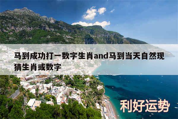 马到成功打一数字生肖and马到当天自然现猜生肖或数字