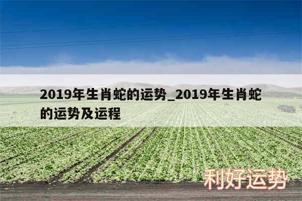 2019年生肖蛇的运势_2019年生肖蛇的运势及运程