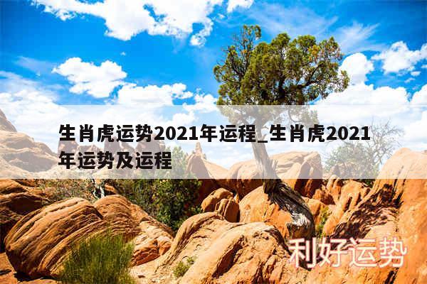 生肖虎运势2024年运程_生肖虎2024年运势及运程