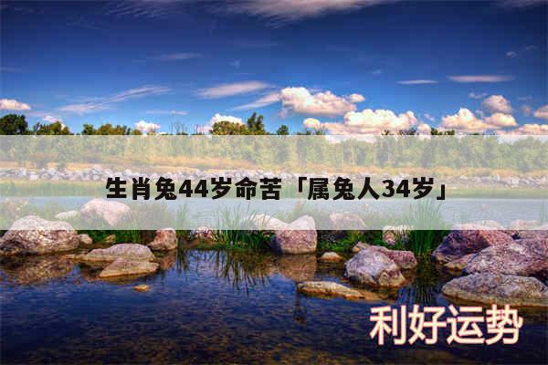 生肖兔44岁命苦及属兔人34岁