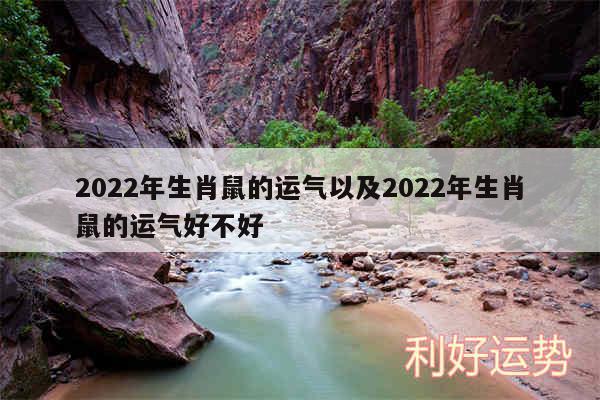 2024年生肖鼠的运气以及2024年生肖鼠的运气好不好