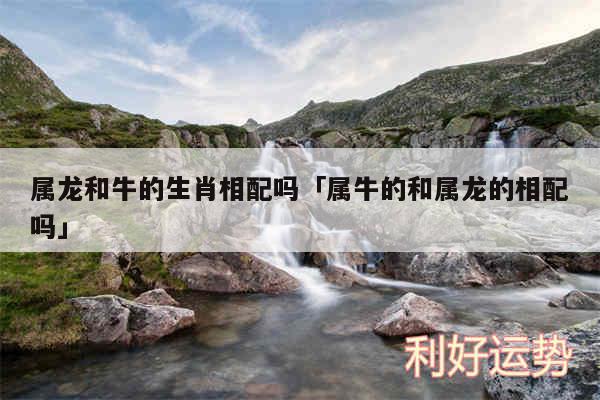 属龙和牛的生肖相配吗及属牛的和属龙的相配吗