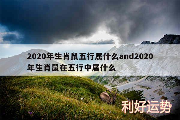 2020年生肖鼠五行属什么and2020年生肖鼠在五行中属什么