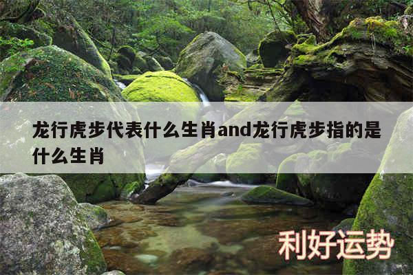 龙行虎步代表什么生肖and龙行虎步指的是什么生肖