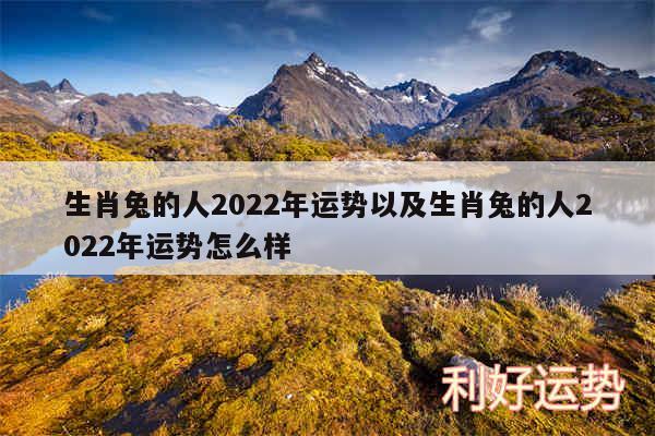 生肖兔的人2024年运势以及生肖兔的人2024年运势怎么样