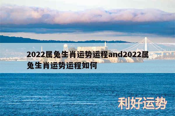 2024属兔生肖运势运程and2024属兔生肖运势运程如何