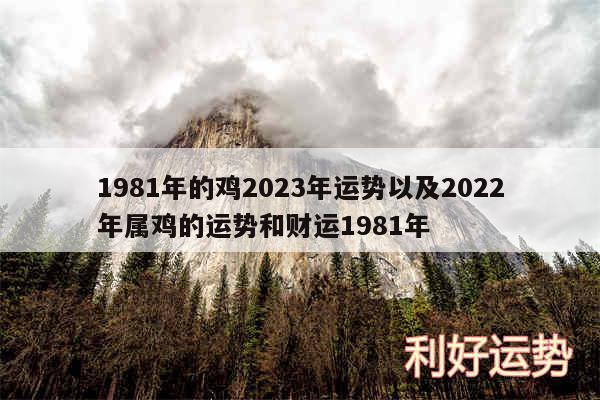 1981年的鸡2024年运势以及2024年属鸡的运势和财运1981年