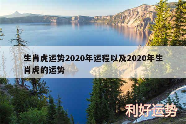 生肖虎运势2020年运程以及2020年生肖虎的运势