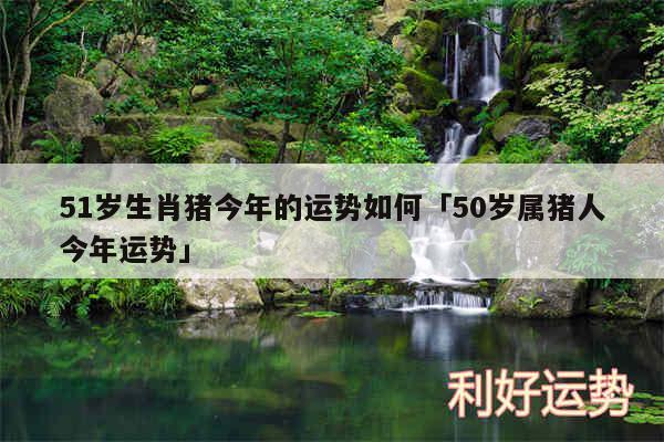 51岁生肖猪今年的运势如何及50岁属猪人今年运势