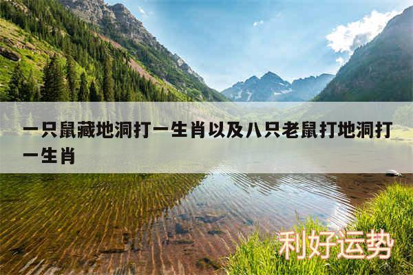 一只鼠藏地洞打一生肖以及八只老鼠打地洞打一生肖