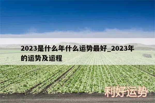 2024是什么年什么运势最好_2024年的运势及运程