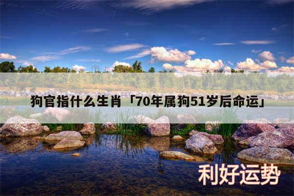 狗官指什么生肖及70年属狗51岁后命运