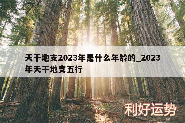 天干地支2024年是什么年龄的_2024年天干地支五行