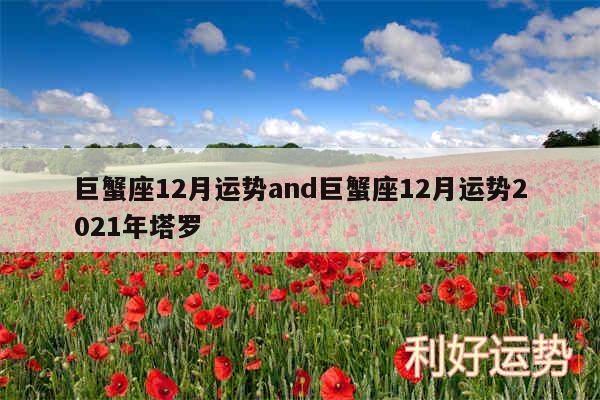 巨蟹座12月运势and巨蟹座12月运势2024年塔罗