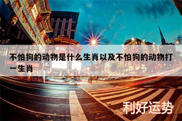 不怕狗的动物是什么生肖以及不怕狗的动物打一生肖