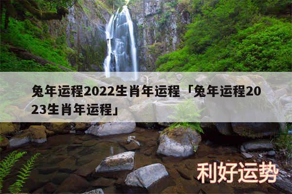 兔年运程2024生肖年运程及兔年运程2024生肖年运程