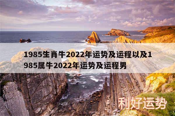 1985生肖牛2024年运势及运程以及1985属牛2024年运势及运程男